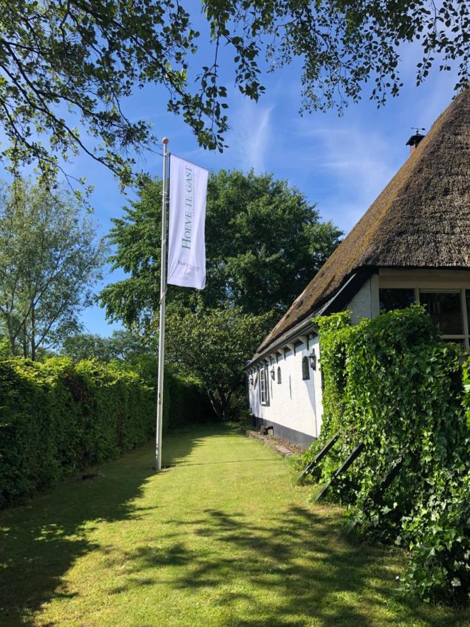 Hoeve Te Gast - Vakantieboerderij Groet Bagian luar foto