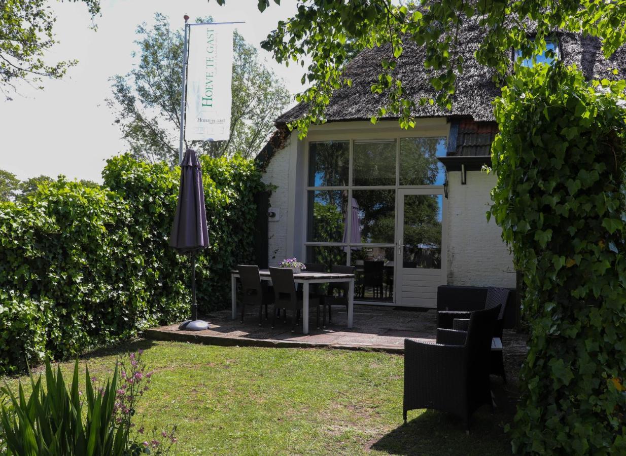 Hoeve Te Gast - Vakantieboerderij Groet Bagian luar foto